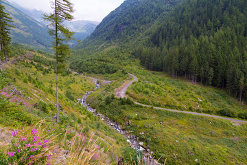 Summer landscape - mountain valley . Slovakia. Europe © anatoliil