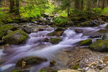 Naklejka na ściany i meble Beautiful nature - forest mountain river. Slovakia
