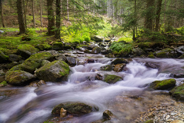 Beautiful nature - forest mountain river. Slovakia