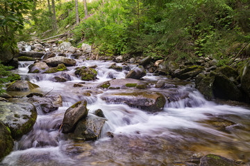 Fototapeta na wymiar Beautiful nature - forest mountain river. Slovakia