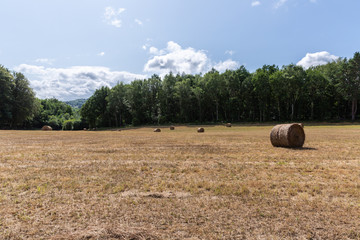 Champ Corr&egrave;ze