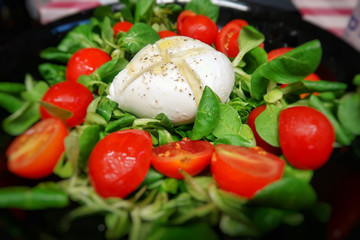 fresh salad with tomatoes and mozzarella