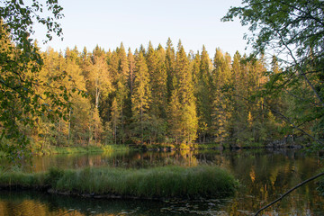 Fototapeta na wymiar lake in autumn forest