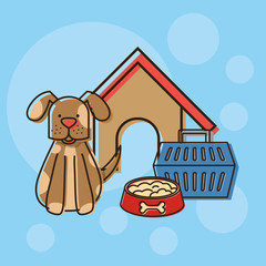 mascots with pets shop set icons