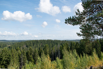 View from a high hill on the landscape with boreal forest and blue sky