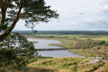 View on the lake in the forest from a high hill with pine trees