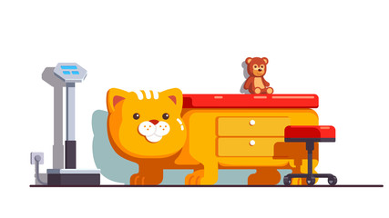 Children friendly pediatrician office with cat bed