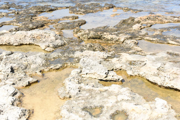 Litoral rocoso.