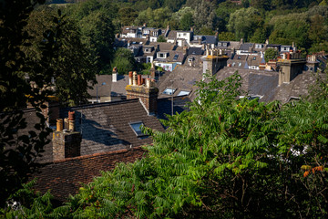 Rooftops viewed from elevated position in Lewes © J-F Phillips