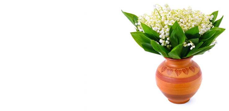 Lily of the valley in flower pot. Free space for text. Wide photo.