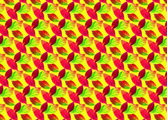 Autumn maple leaves nature background autumn thanksgiving season yellow orange red gradient september october november december