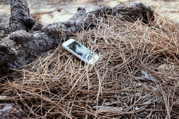 Smart phone lost in the forest