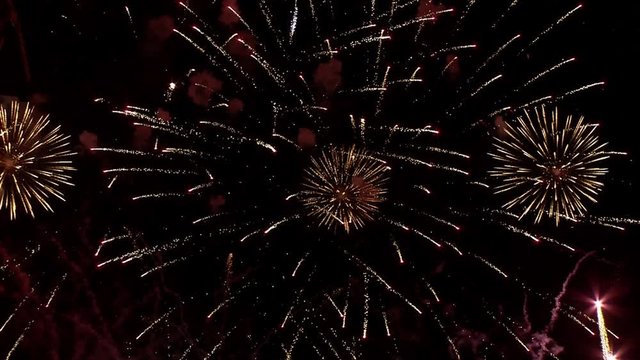 Beautiful firework display for celebration