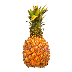 Mini pineapple close-up 3d rendering with realistic texture