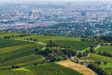 Fototapeta na wymiar Vienna Aerial View in Summer end / beginning of Autumn/Fall. Vineyards visible in the foreground