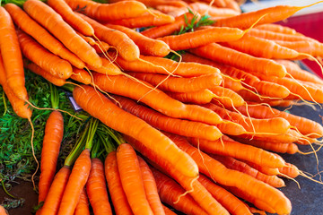 bunch of carrots