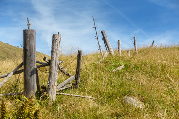 verfallener Holzzaun in einer herbstlichen Bergwiese im Zillertal in Tirol