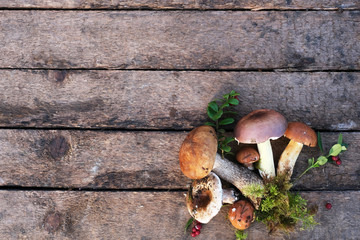 Forest musrooms, cowberry and moss on the old wood surface. Flat lay.