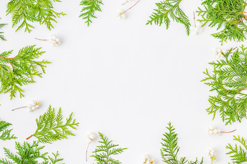 Flat lay christmas frame with evergreen tree branch and berries on a white background