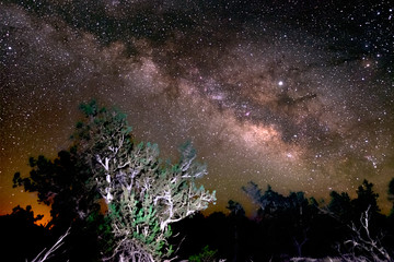 H.Babaletskos landscapes and more