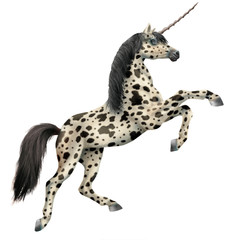 cheval, animal, noir, silhouette, isolé, blanc, dalmate, course, animal de compagnie, étalon, jument  , galop, nature, illustration, mammifère, animal de compagnie, courir, sauvage, amoureux des cheva