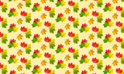 Autumn maple leaves nature background autumn thanksgiving season yellow orange red gradient september october november december
