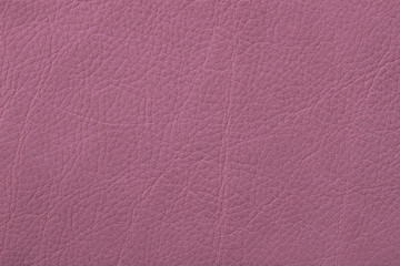 Texture of genuine grainy leather close-up, pink burgundy color for wallpaper or banner design. Fashionable modern background
