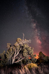 H.Babaletskos landscapes and more