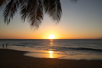 Fototapeta na wymiar Plage paradisiaque au coucher du soleil - Antilles Guadeloupe