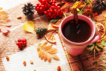tea with cinnamon and spices on a background of leaves, berries on a woolen plaid concept hello autumn