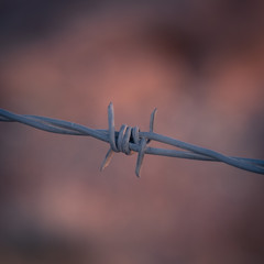 H.Babaletskos landscapes and more