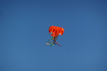 cerf volant orange