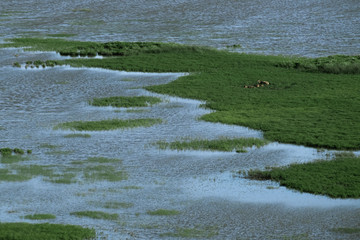 H.Babaletskos landscapes and more