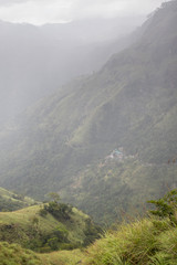 Paysage Sri Lanka - Montagne