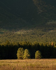 San Francisco peaks