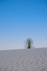 White Sands national monument