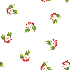 Vector Red viburnum opulus - guelder-rose - branch with leaves and berries - seamless pattern.