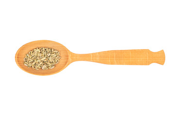 Dry fennel in spoon