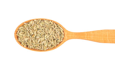 Dry fennel in spoon