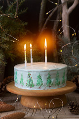 Celebratory cake decorated with painted Christmas trees on a dark background of branches and cones. Rustic style.