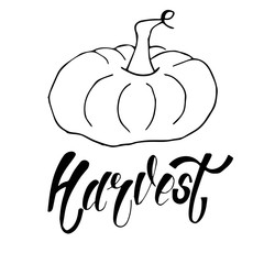 Hand sketched autumn lettering Harvest with pumpkin drawing. Modern brush calligraphy. Handwritten vector illustration isolated on white background for cards, posters, banners, logo, tags.