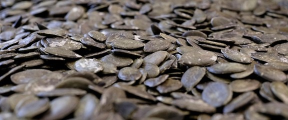 Close-up of pumpkin seeds