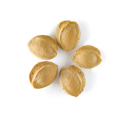 Apricot kernels in a shell isolated on a white background. Apricot seeds laid out in the form of a flower