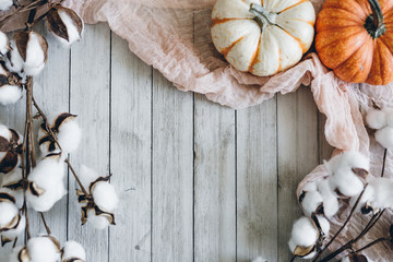 Autumn Pumpkin Whitewashed Wooden Background