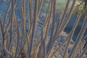 abstract winter background