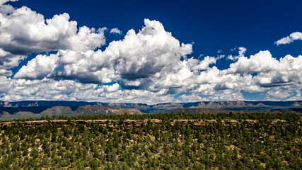 Fototapeta na wymiar View of Mogollin Rim above the Houston Mesa near Payson, Arizona with blue sky, white clouds, pnderosa pines and cliffs