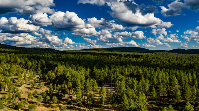 Aerial view of the Tonto National Forest from above the Pine Trailhead in Arizona with blue sky,  white clouds and green ponderosa pines 