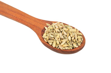 Dry fennel in spoon