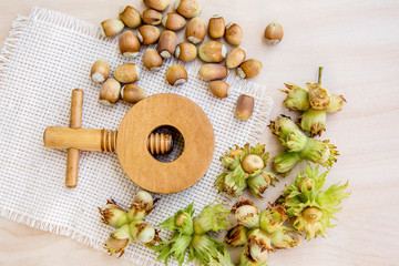Freshly picked Hazelnuts, Corylus avellana some of them in husks, with vintage wood nutcracker....