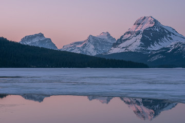 Fototapeta na wymiar Bow lake at sunrise half frozen, Banff National park, Canada